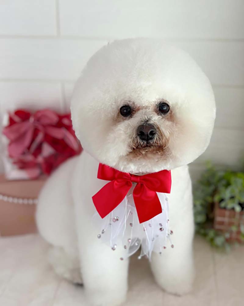 ギャラリー
